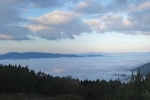 04 Morgenpirsch