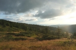 05 Morgenpirsch