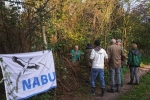 Einsatz Weide an der Straba 02