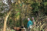 Einsatz Weide an der Straba 05