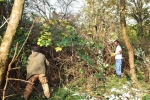 Einsatz Weide an der Straba 06