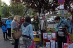 Pflanzenflohmarkt 2