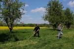 Einsatz Steinkauzwiese 09