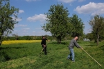 Einsatz Steinkauzwiese 10
