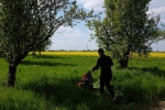 Einsatz Steinkauzwiese 04