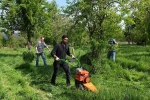 Einsatz Steinkauzwiese 05