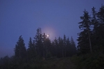 07 Abendliche Pirsch - Mondaufgang