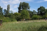 Schäfer auf der Götterbaumweide 09