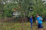 Einsatz-Böckchenweide-03-10x10s