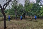 Einsatz-Böckchenweide-09-10x14s