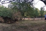 Einsatz-Böckchenweide-12-10x22s