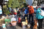 NABU-Stand Pflanzenflohmarkt 7 10x15s