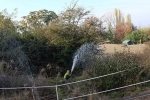 Einsatz Hermelinweiher 11