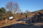 Einsatz Bienenweide 13