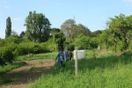 Giesseinsatz Bienenweide 1