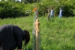 Giesseinsatz Bienenweide 3