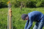 Giesseinsatz Bienenweide 4