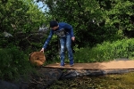Teich im Wühlmausgarten 06