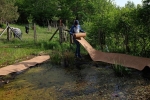 Teich im Wühlmausgarten 07