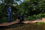 Teich im Wühlmausgarten 09