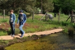 Teich im Wühlmausgarten 02