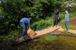 Teich im Wühlmausgarten 03