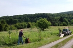 Kirschgarten 02