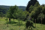 Kirschgarten 05