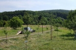 Kirschgarten 06