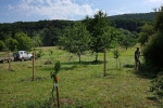 Kirschgarten 07