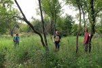 Hochstamm-Inspektion-02-Böckchenweide-10x16s