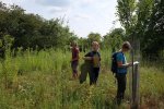 Hochstamm-Inspektion-03-Bienenweide-10x15s