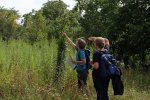 Hochstamm-Inspektion-04-Weg-Jäckel-Weide-10x10s