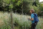 Hochstamm-Inspektion-06-Bienenweide-10x13s