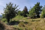 NABU-Grundstück-nach-Mahd-01-10x22s