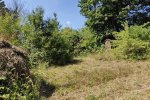 NABU-Grundstück-nach-Mahd-03-10x13s