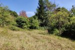 NABU-Grundstück-nach-Mahd-04-10x13s