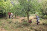 Pflegeeinsatz-NABU-Grundstück-15-10x16s