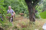 Pflegeeinsatz-NABU-Grundstück-17-10x13s