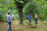 Pflegeeinsatz-NABU-Grundstück-25-10x13s