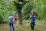 Pflegeeinsatz-NABU-Grundstück-28-10x13s