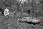 Aktion-Amphibienteich-Seeheimer-Blütenhang-13-10x15-sw-s