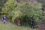 Einsatz am Seeheimer Blütenhang 05