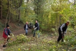 Einsatz am Seeheimer Blütenhang 09