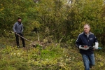 Einsatz am Seeheimer Blütenhang 11