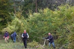 Einsatz am Seeheimer Blütenhang 15