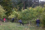 Einsatz am Seeheimer Blütenhang 16