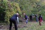 Einsatz am Seeheimer Blütenhang 03