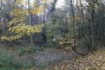 Schöntalteich-02-10x20s