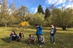Lämmerweide 7